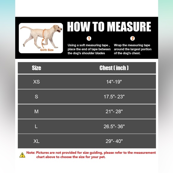 Service Therapy Dog Harness and Leash Set with removable Velcro patches - Picture 5 of 7